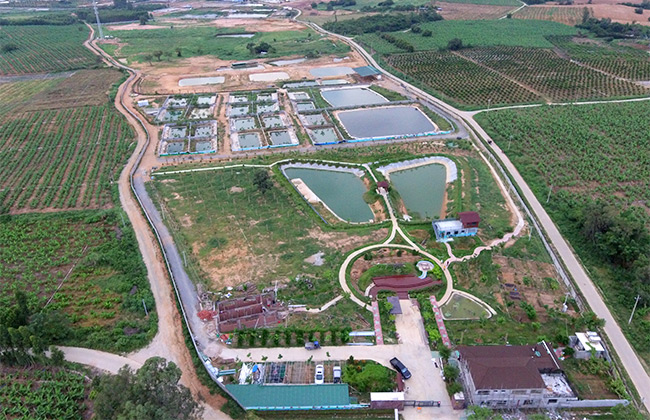 鳄珍鳄鱼基地介绍