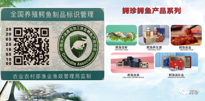 鳄珍新闻田丽霞主持召开书记专题会研究部署东方农业农村相关工作